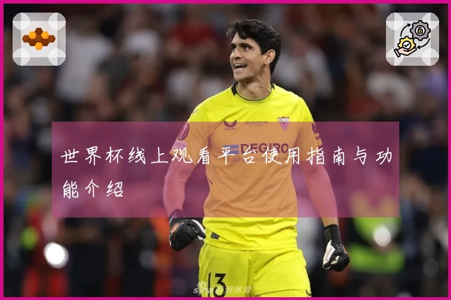 世界杯线上观看平台使用指南与功能介绍