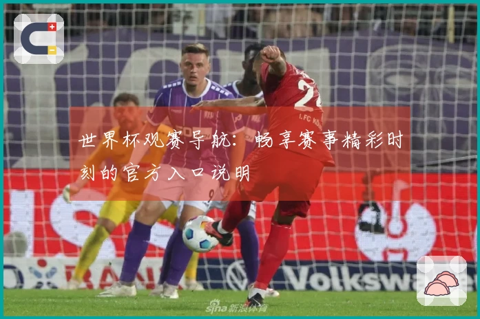 世界杯观赛导航：畅享赛事精彩时刻的官方入口说明