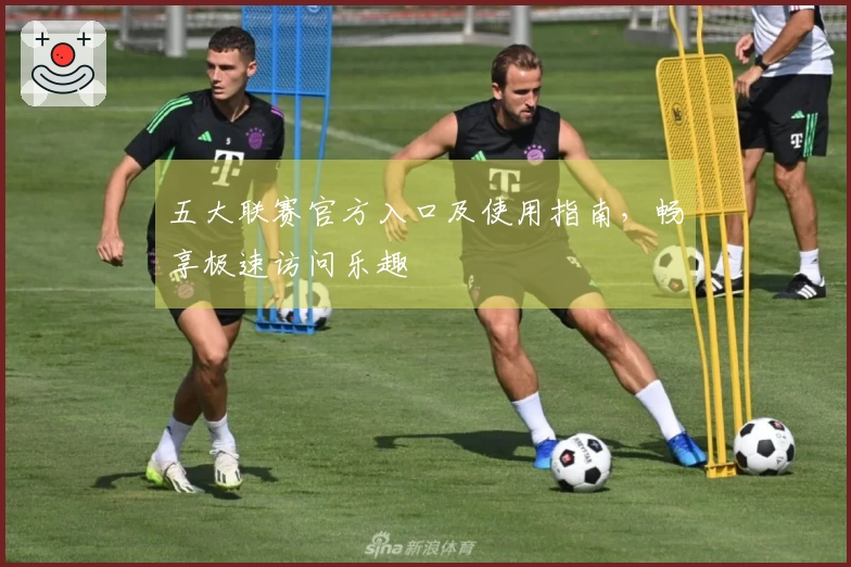 五大联赛官方入口及使用指南，畅享极速访问乐趣