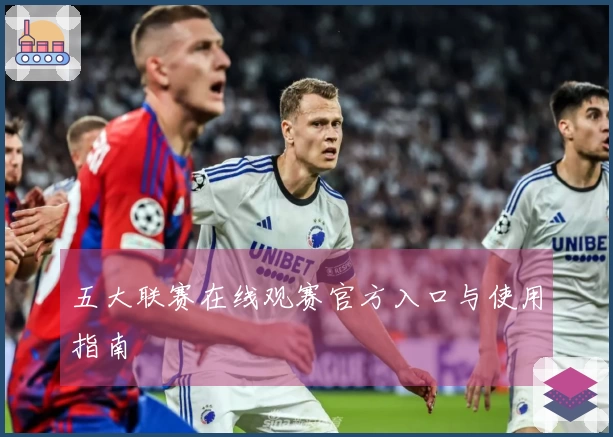 五大联赛在线观赛官方入口与使用指南