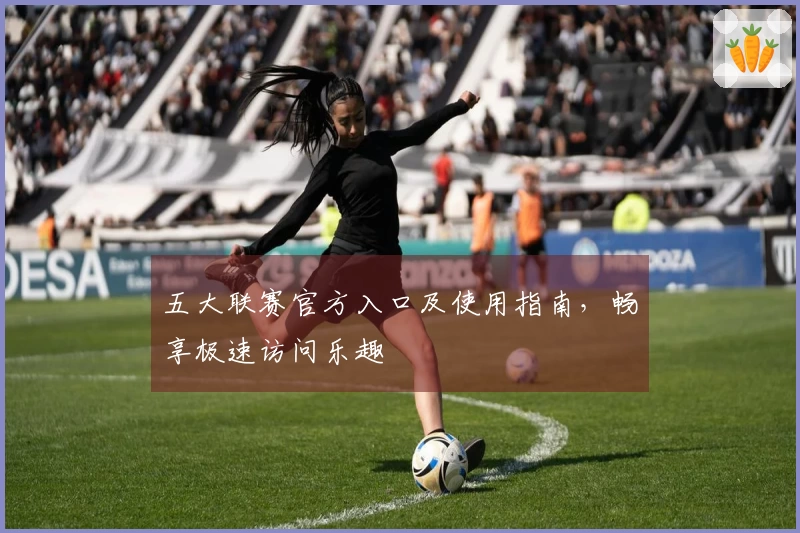 五大联赛官方入口及使用指南，畅享极速访问乐趣