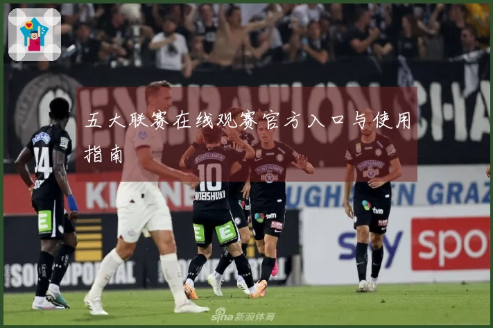 五大联赛在线观赛官方入口与使用指南