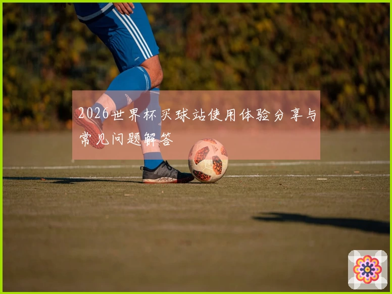 2026世界杯买球站使用体验分享与常见问题解答