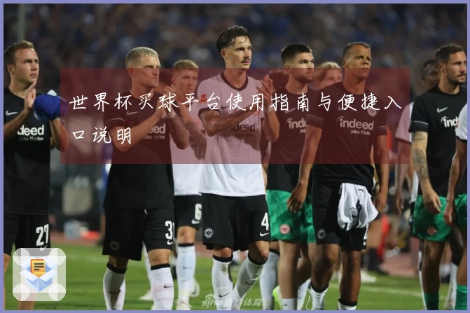 世界杯买球平台使用指南与便捷入口说明